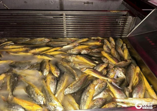 Engineering the ocean: China's smart vessels transform aquaculture industry