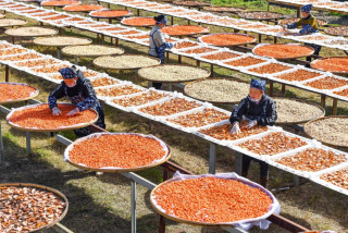 Industrial development solidifies results of China's poverty reduction