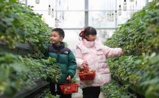 How intellectual property drives China's rural transformation