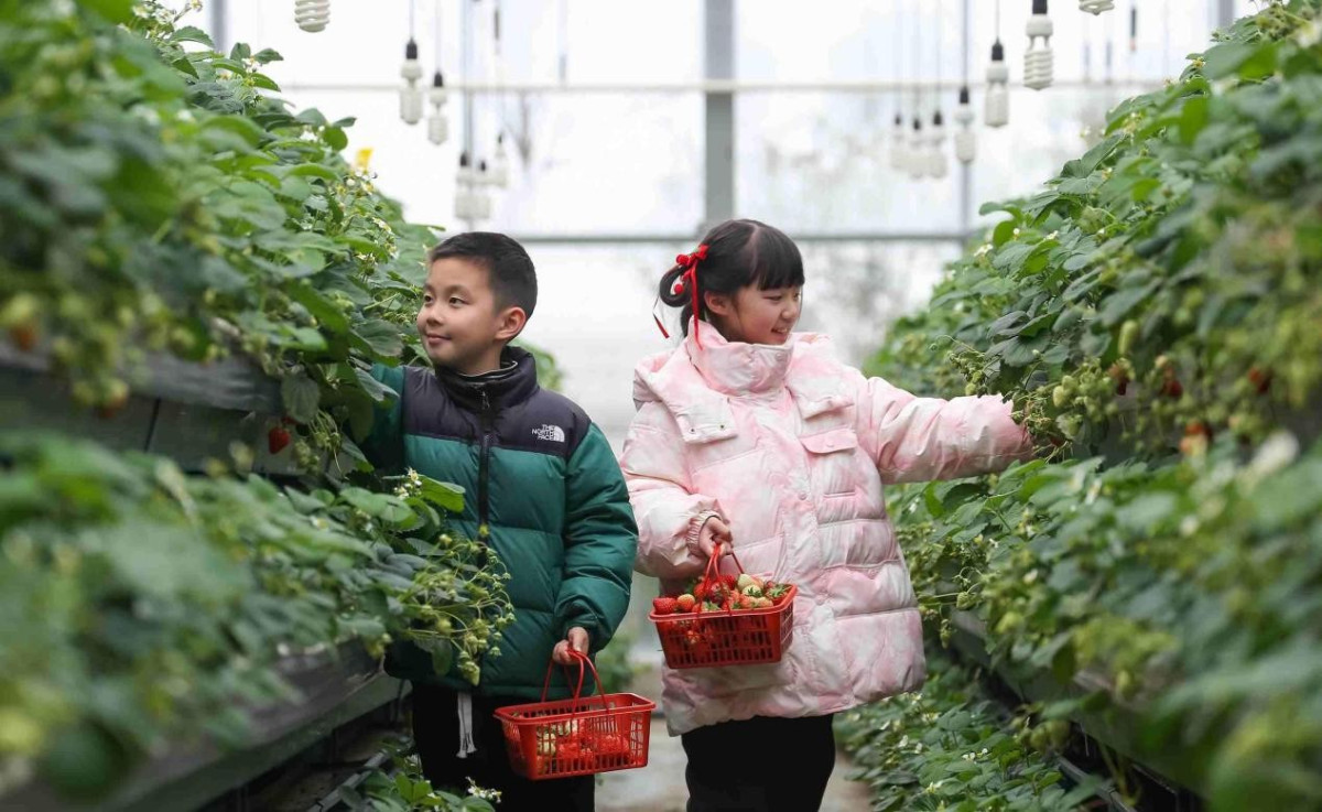 How intellectual property drives China's rural transformation
