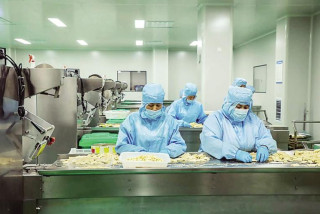 Big Data drives transformation in China's ancient jujube industry