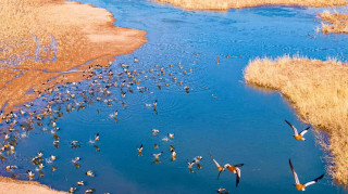 China's green transformation: a global asset